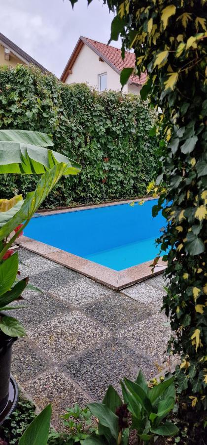 Apartman Murko P-4 Ljubljana Kültér fotó