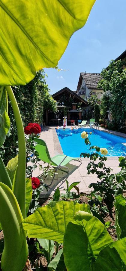 Apartman Murko P-4 Ljubljana Kültér fotó